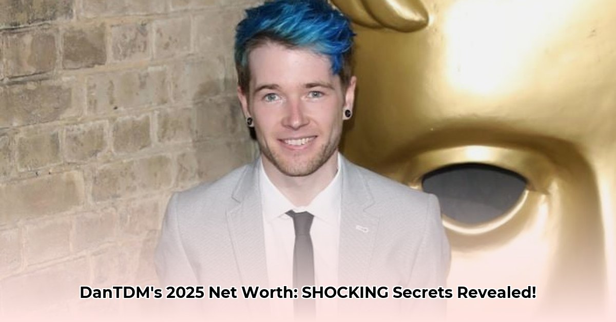 what-is-dantdm-s-net-worth